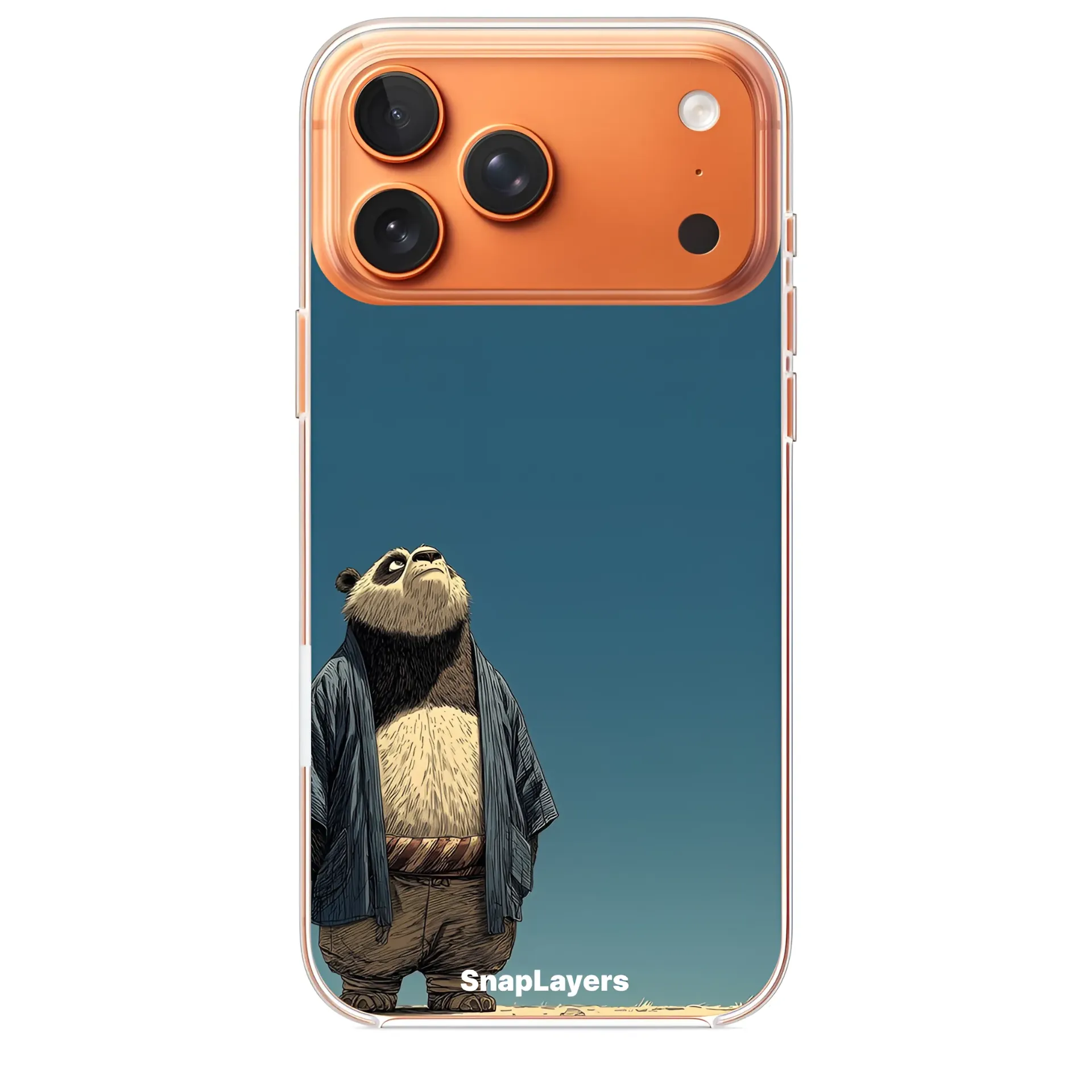 Kung Fu Panda